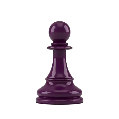 Beginner chess class